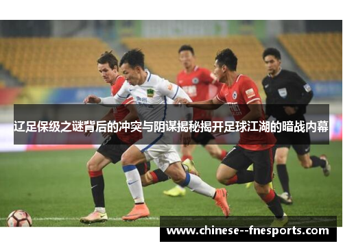 辽足保级之谜背后的冲突与阴谋揭秘揭开足球江湖的暗战内幕